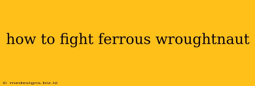 how to fight ferrous wroughtnaut