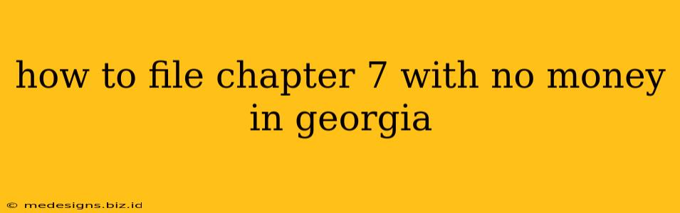 how to file chapter 7 with no money in georgia