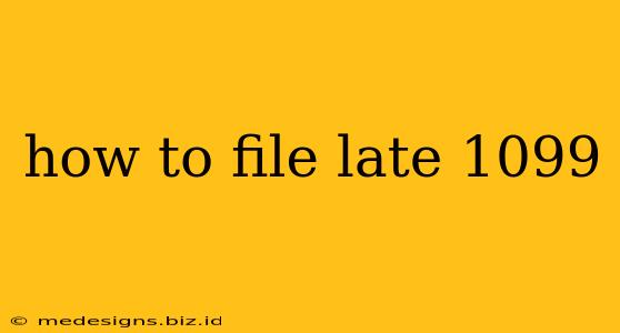 how to file late 1099