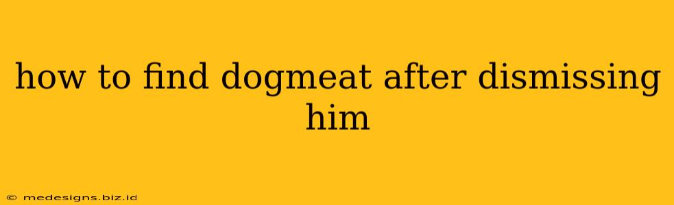 how to find dogmeat after dismissing him