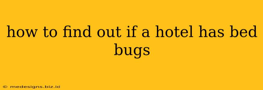 how to find out if a hotel has bed bugs