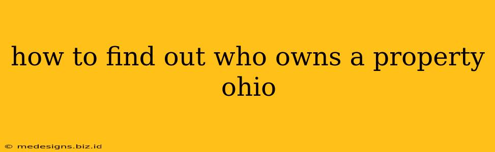 how to find out who owns a property ohio