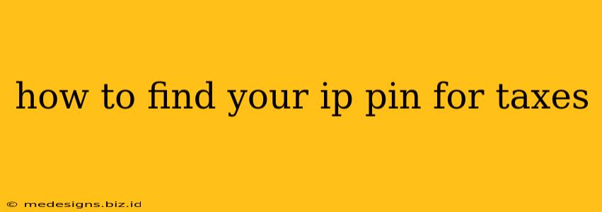 how to find your ip pin for taxes