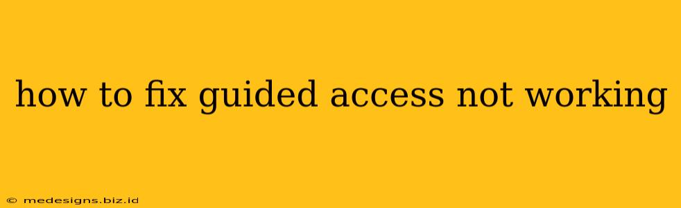 how to fix guided access not working