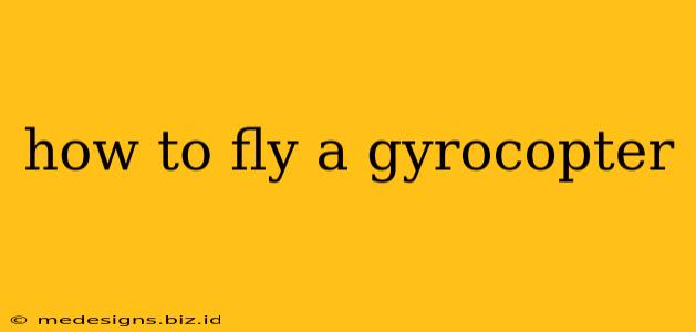 how to fly a gyrocopter