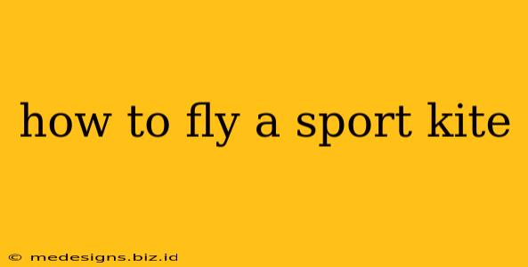 how to fly a sport kite