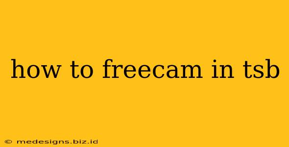 how to freecam in tsb