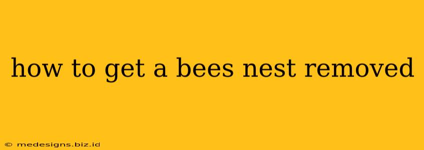 how to get a bees nest removed