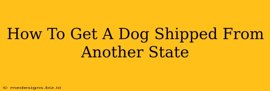 How To Get A Dog Shipped From Another State