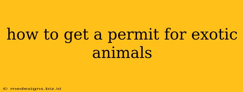 how to get a permit for exotic animals