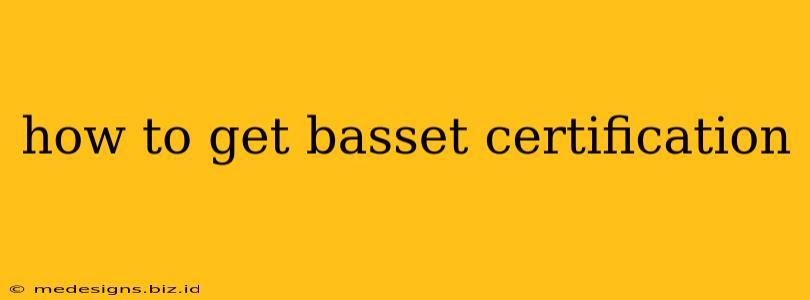 how to get basset certification