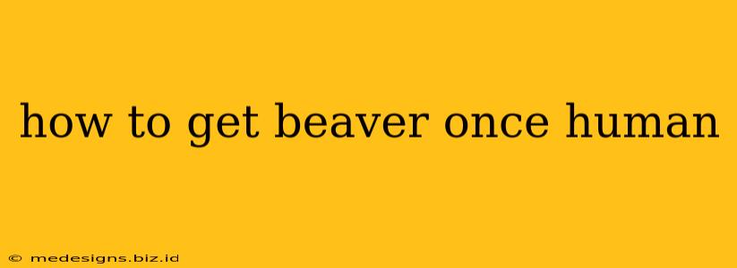 how to get beaver once human