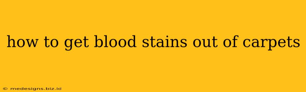 how to get blood stains out of carpets