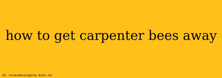 how to get carpenter bees away