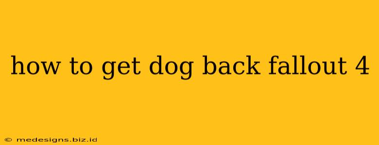 how to get dog back fallout 4