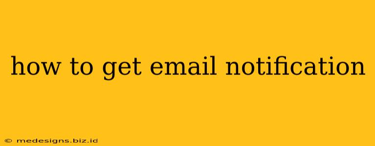 how to get email notification