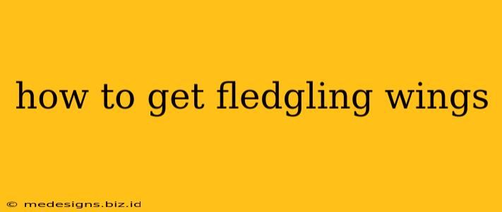 how to get fledgling wings