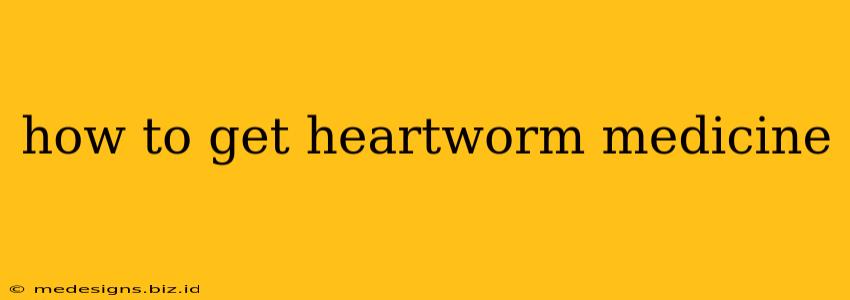 how to get heartworm medicine