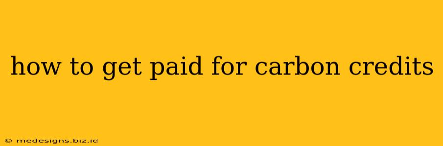 how to get paid for carbon credits