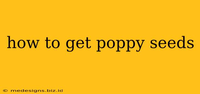 how to get poppy seeds