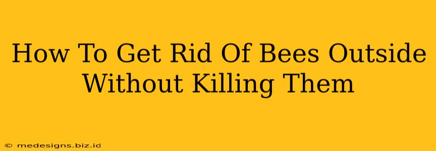 How To Get Rid Of Bees Outside Without Killing Them