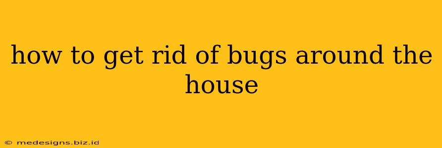 how to get rid of bugs around the house
