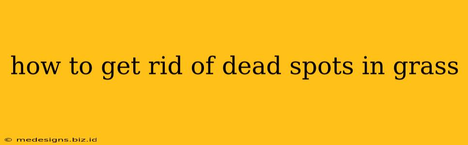 how to get rid of dead spots in grass