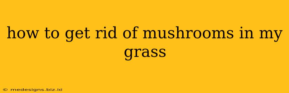 how to get rid of mushrooms in my grass