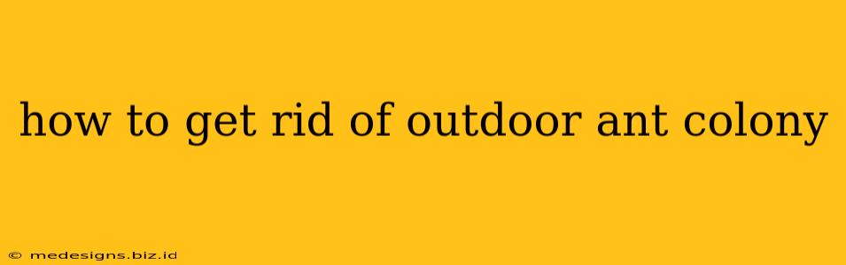how to get rid of outdoor ant colony