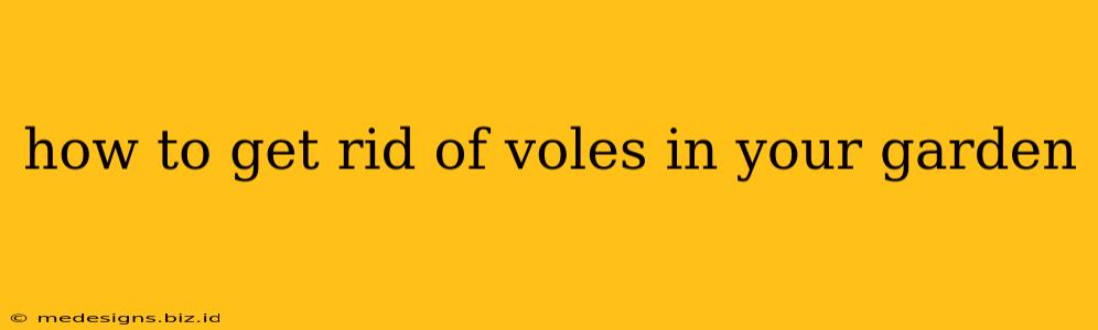 how to get rid of voles in your garden