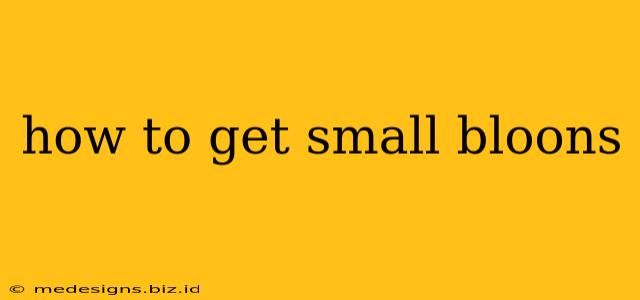 how to get small bloons