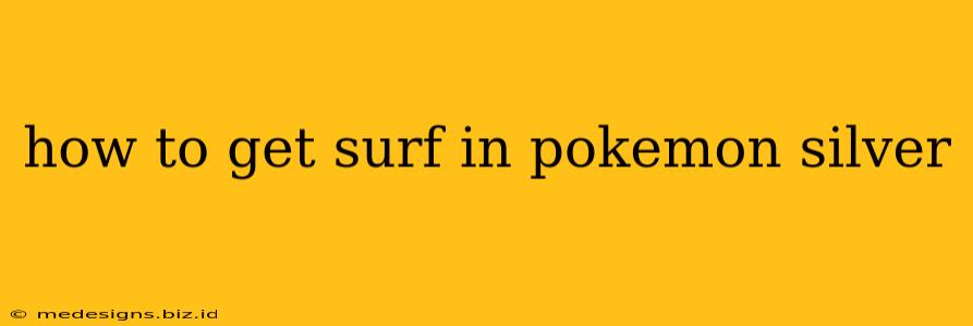 how to get surf in pokemon silver