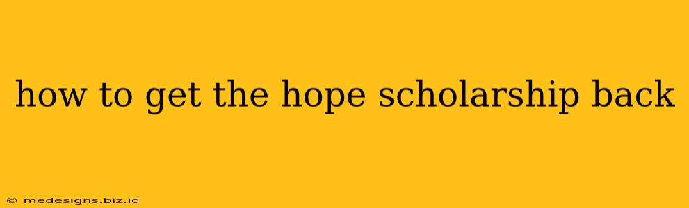 how to get the hope scholarship back