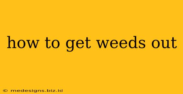 how to get weeds out