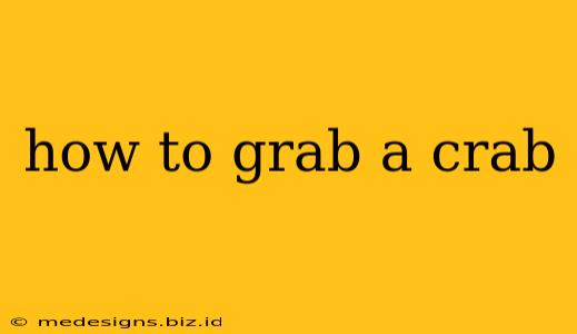 how to grab a crab