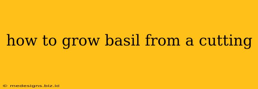 how to grow basil from a cutting
