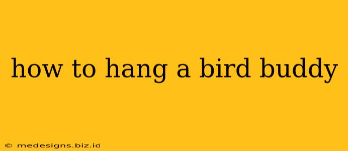 how to hang a bird buddy