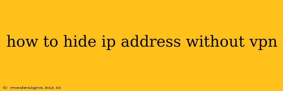 how to hide ip address without vpn