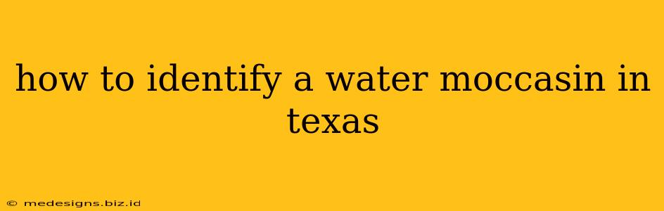 how to identify a water moccasin in texas