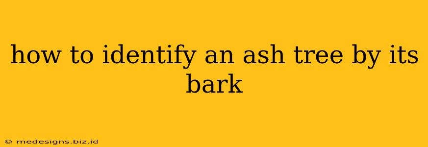 how to identify an ash tree by its bark
