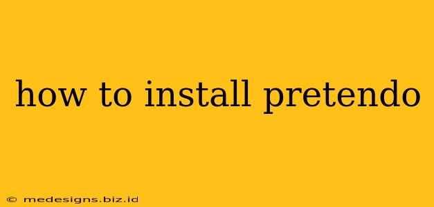 how to install pretendo