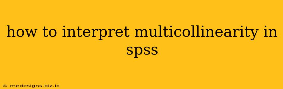 how to interpret multicollinearity in spss