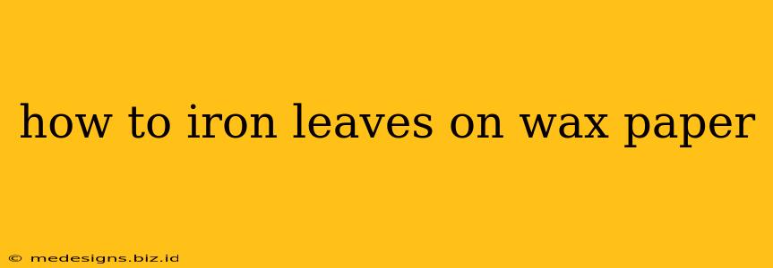 how to iron leaves on wax paper