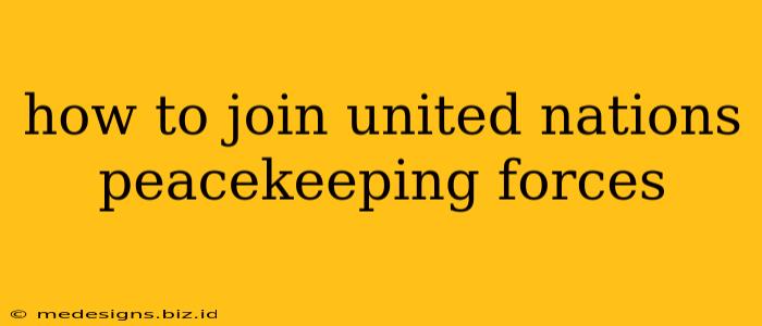 how to join united nations peacekeeping forces