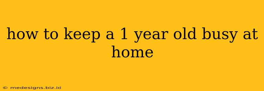 how to keep a 1 year old busy at home