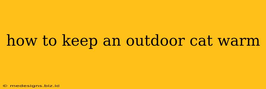 how to keep an outdoor cat warm