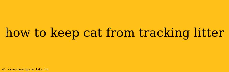 how to keep cat from tracking litter