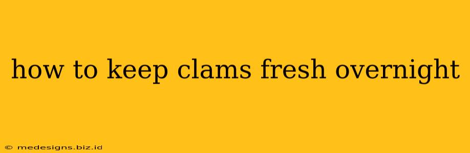 how to keep clams fresh overnight