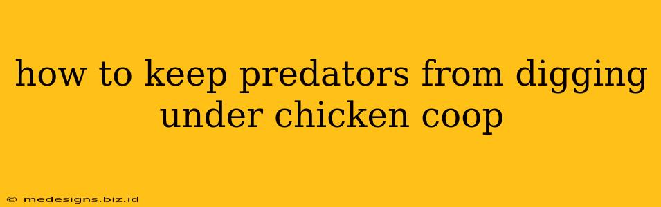how to keep predators from digging under chicken coop