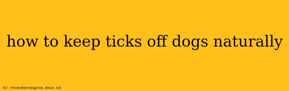 how to keep ticks off dogs naturally